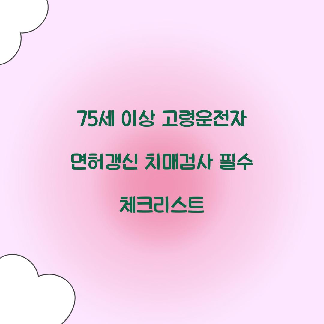 75세 이상 고령운전자