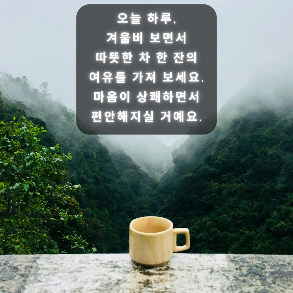 겨울비 오는날 인사말 이미지