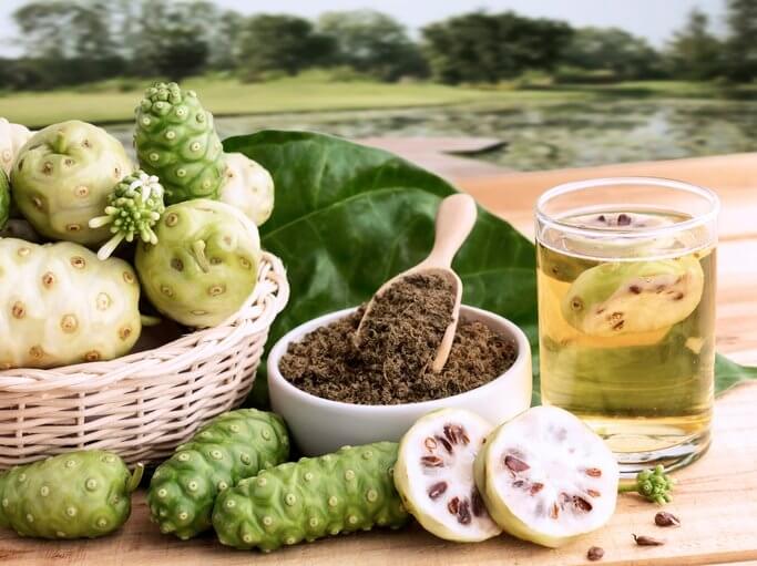 노니 효능 부작용 분말 복용법 4