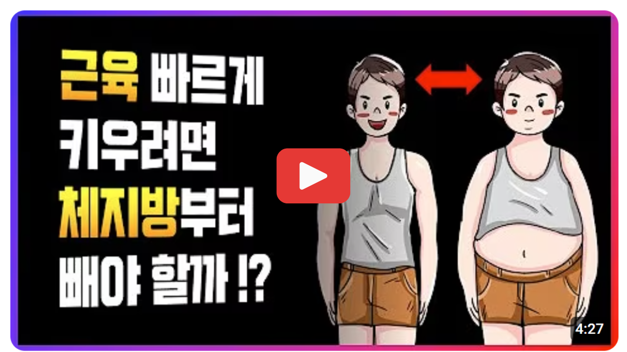 체지방과근육관계