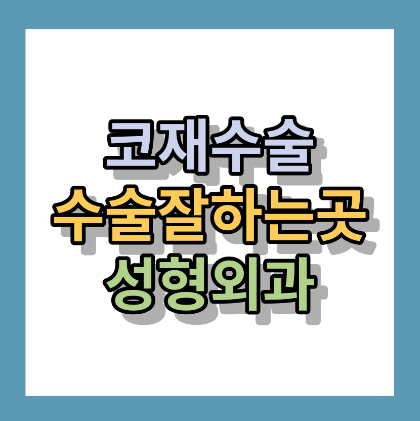 <코재수술비용>수술잘하는곳,수술잘하는성형외과