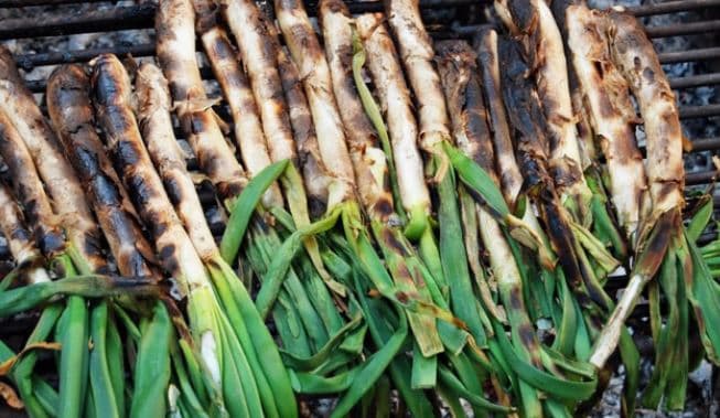 스페인의 카탈루냐식 칼솟(Calçots) - 봄에 수확한 대파를 숯불에 구워 로메스코 소스에 찍어 먹는 요리