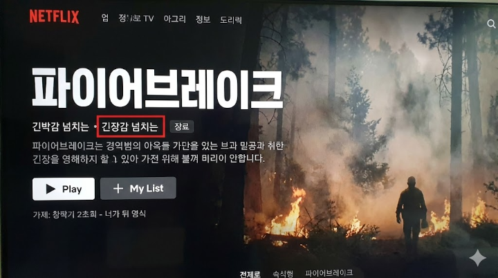 넷플릭스 영화 제목 '파이어브레이크' 인터페이스 화면 캡처본