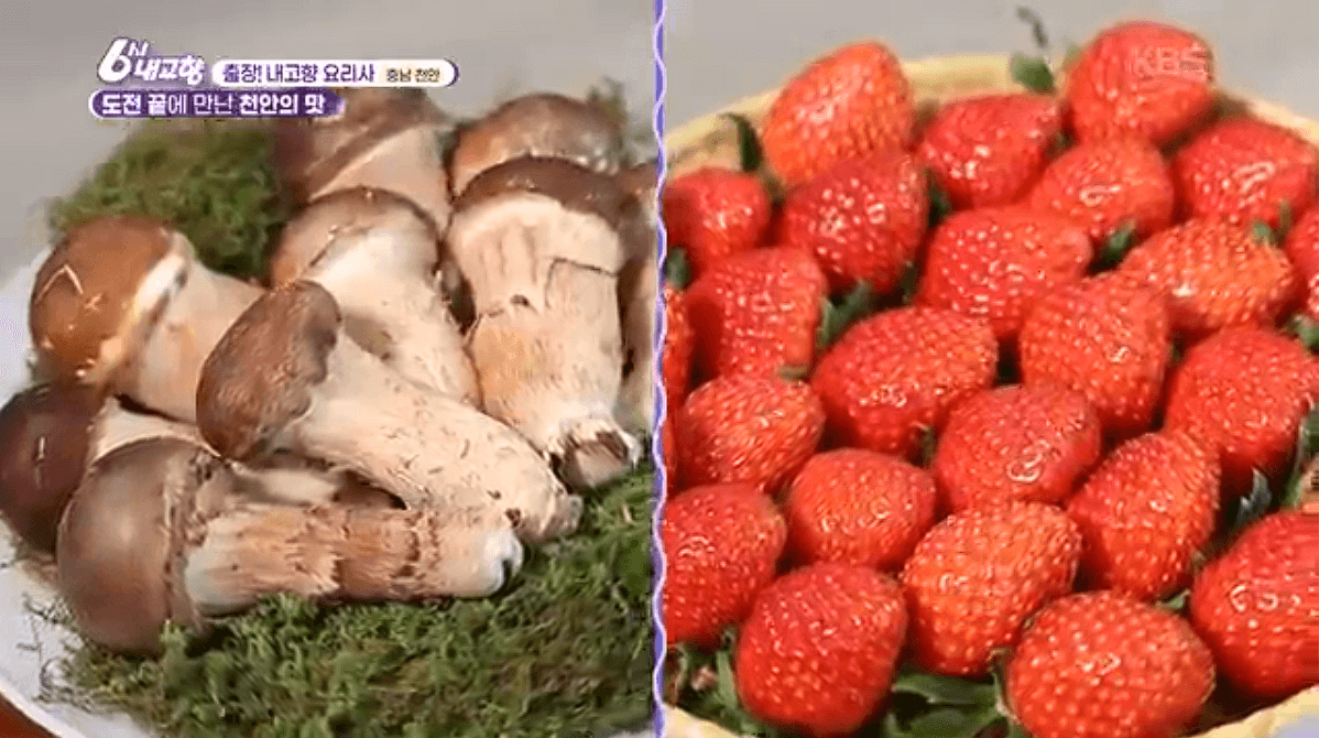 [6시내고향]충남 천안 참송이버섯 아산 딸기 &amp;#39;다울농장&amp;#44; 썬비딸기&amp;#39; 택배 판매 연락처 정보