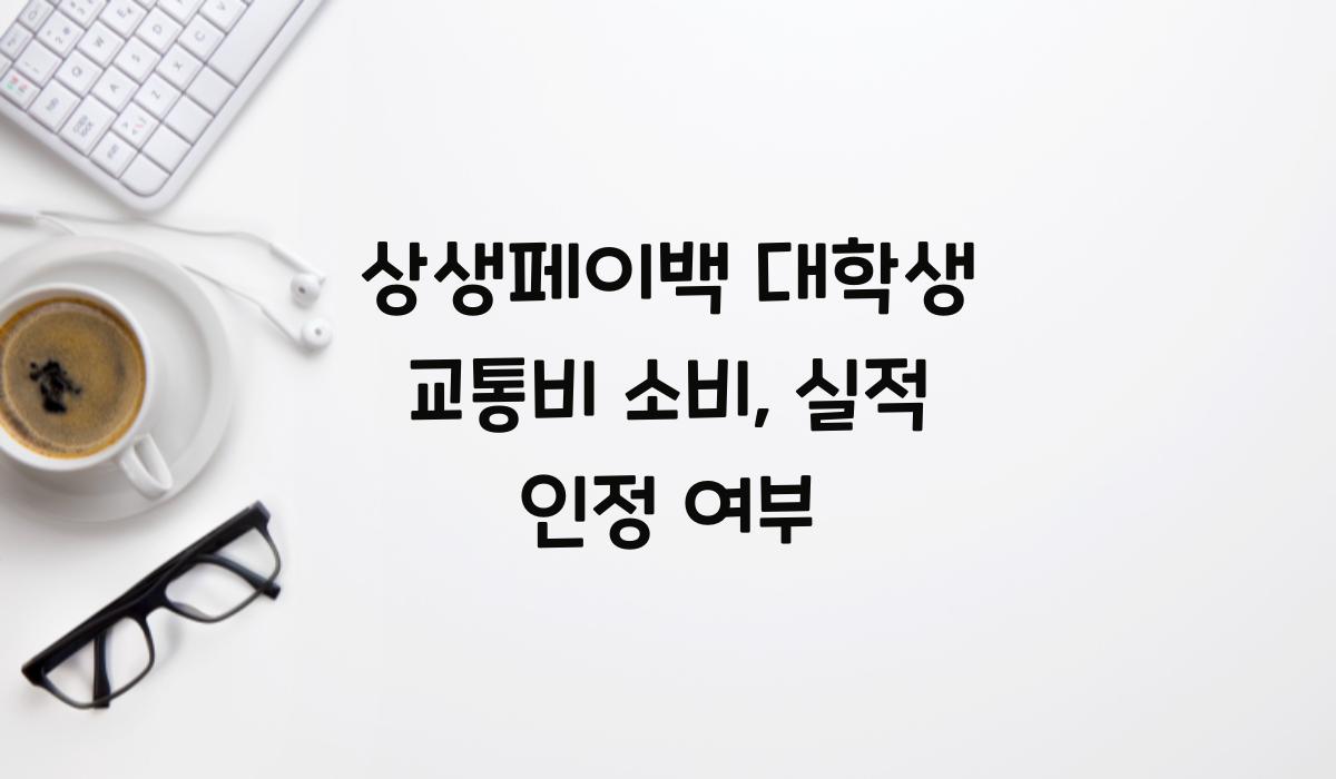 상생페이백 대학생 교통비 소비, 실적 인정 여부