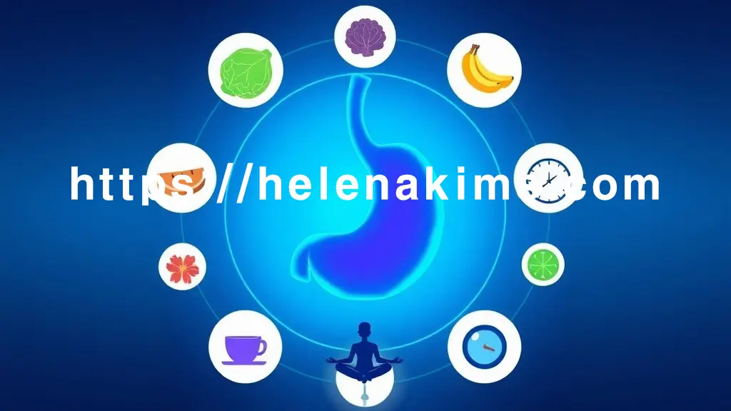 중앙에는 건강하고 편안한 위가 푸른 빛으로 안정감을 뿜어내고, 위를 둘러싼 원형 패널들에는 위산 조절에 좋은 음식 (양배추, 바나나, 물병), 스트레스 해소를 상징하는 명상하는 사람, 규칙적인 식사를 나타내는 시계, 그리고 의료 전문가의 손길이 아이콘들이 있는 그래픽 이미지.