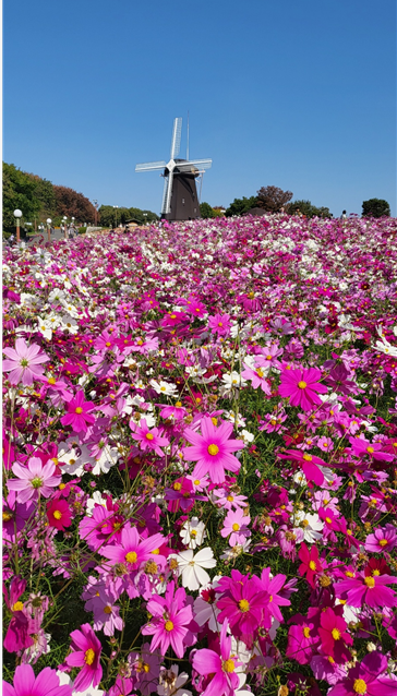 츠루미녹지공원