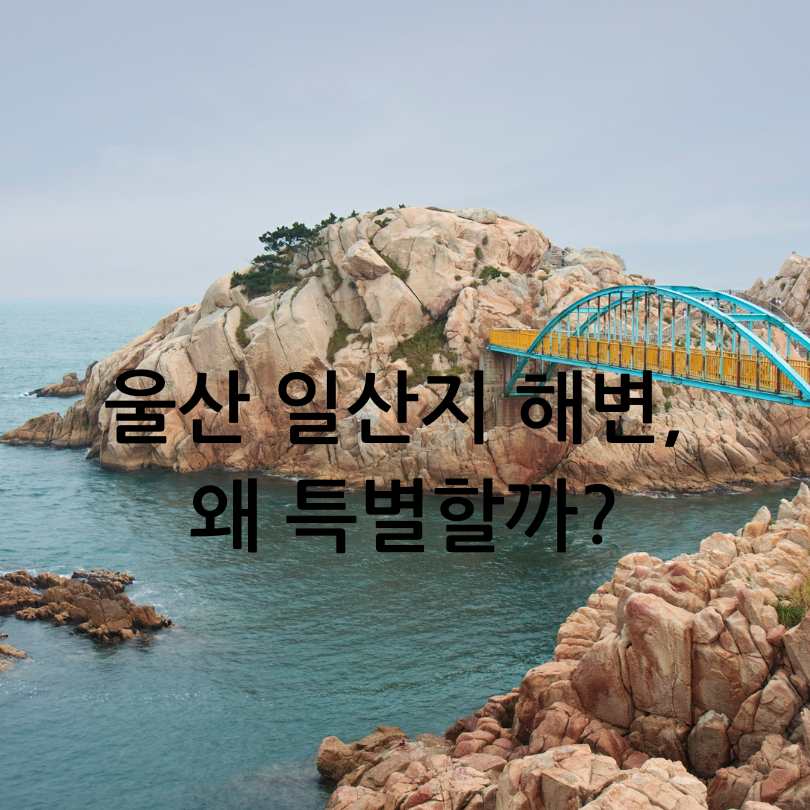 2025 울산조선해양축제 나이트런 일산