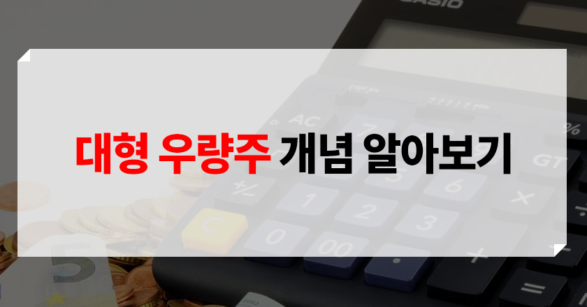 대형 우량주란 대형 우량주 개념, 특징 소개