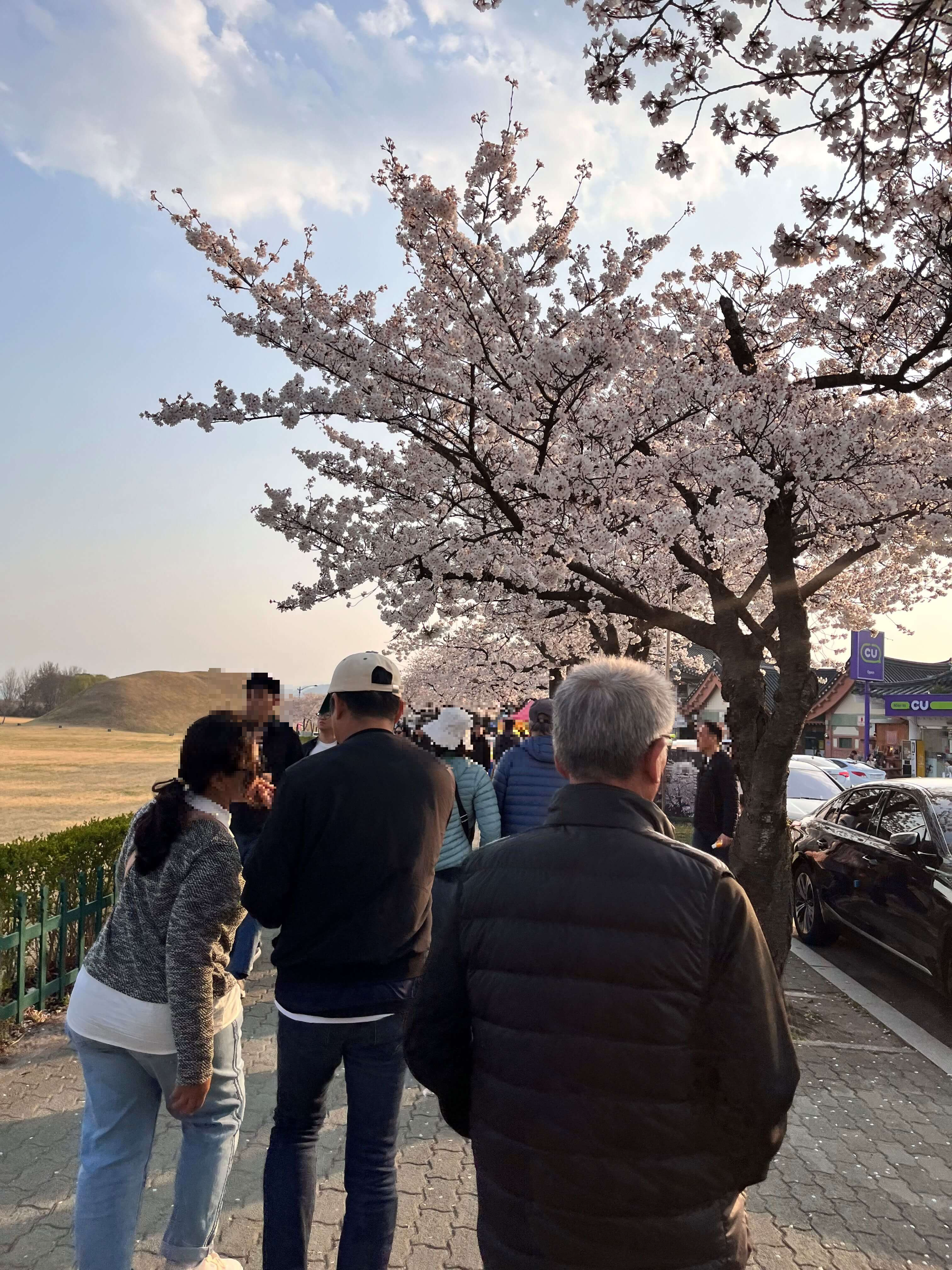 황리단길, 대릉원