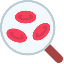 혈소판 수치 올리는 방법