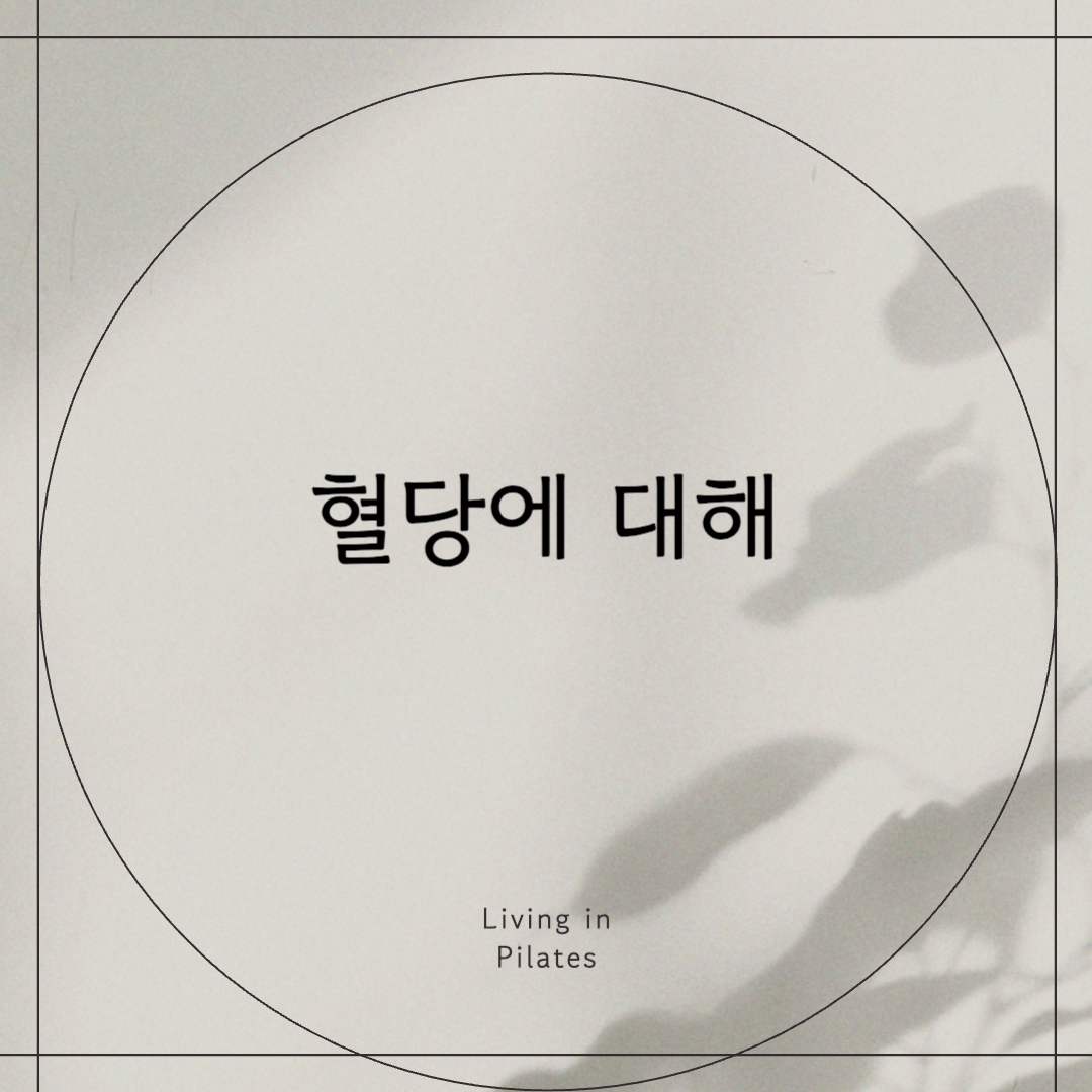 혈당에 대해