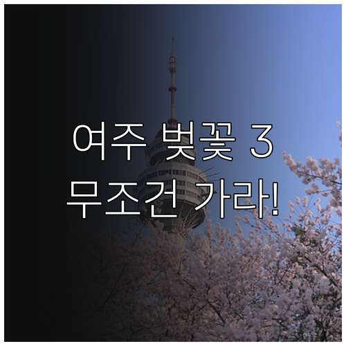 여주 벚꽃 명소 베스트 3 및 남한강..
