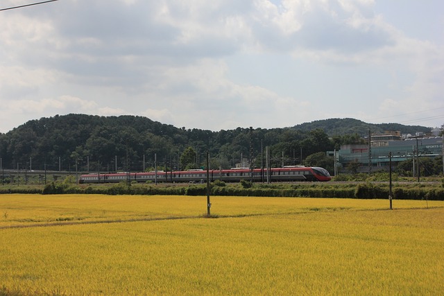 코레일(1)