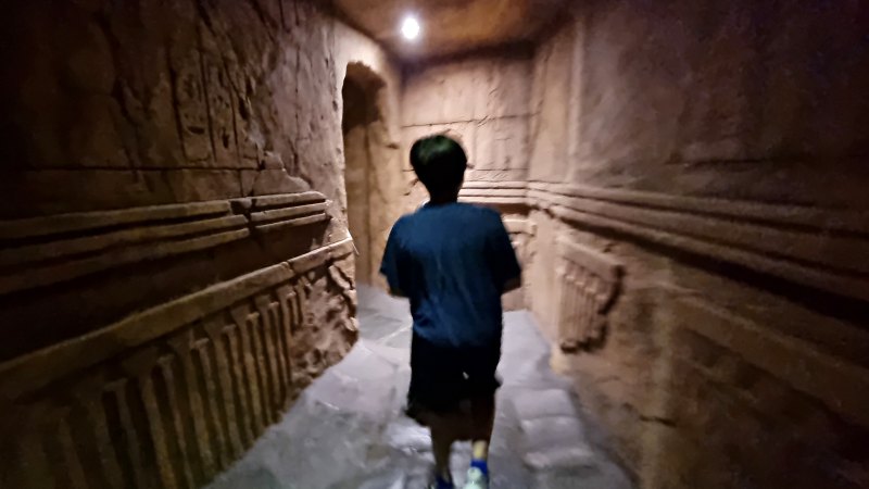 파라오의 분노 입장