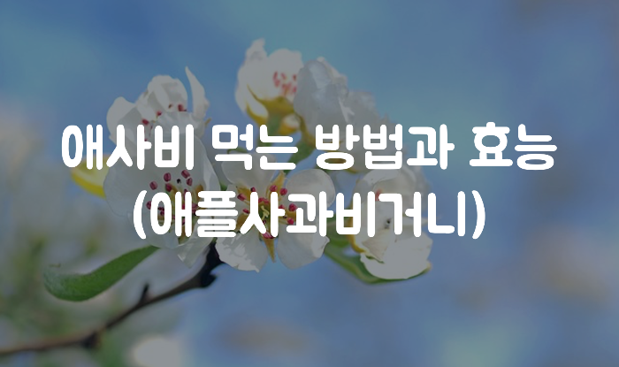 애사비 먹는 방법과 효능(애플사과비거니)글자 이미지