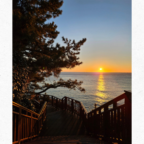 동백섬 해안 산책로