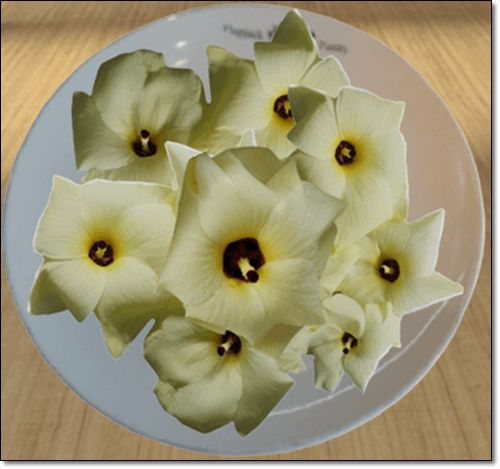 금화규 꽃 효능