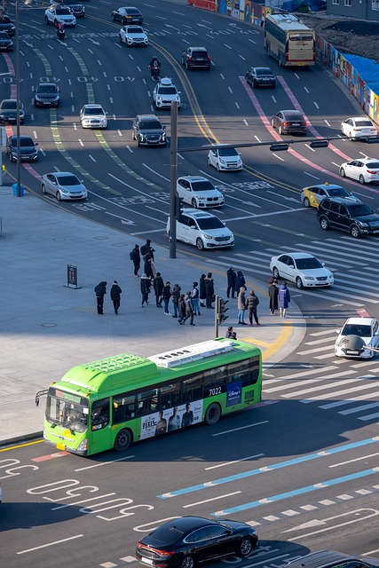 신호 위반 실시간 조회