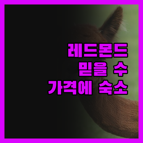 레드몬드 인 레드몬드 믿을 수 없는