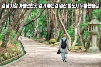 걷기좋은 숲길 50 서울 전남 경북_20