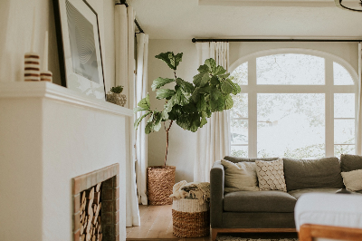 반복되는 생활 리듬이 유지되는 조용한 집 안의 일상 공간