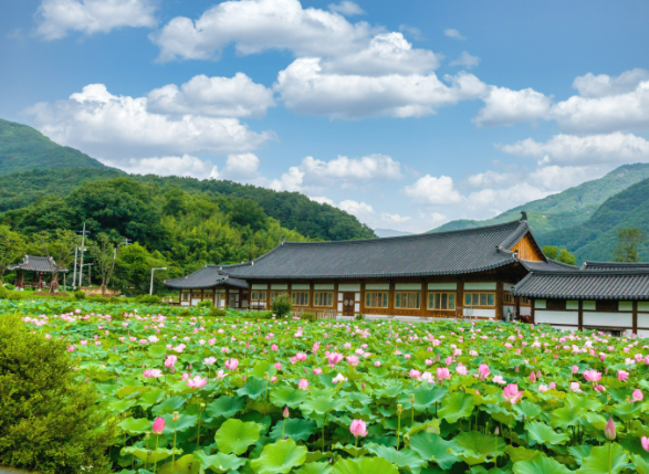 완주 생활비 줄이는 실제 루틴 &mdash; 돈이 덜 새는 생활 구조 만들기