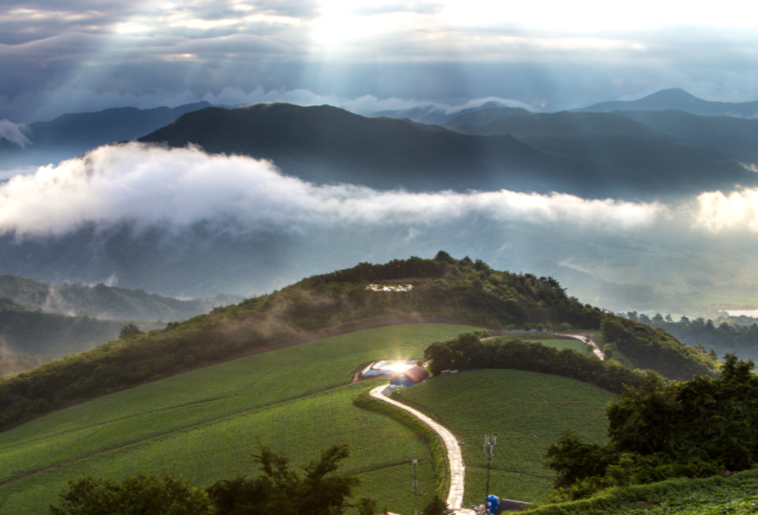 20만원 국내여행2