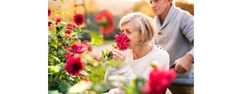 창원 성산구 요양원