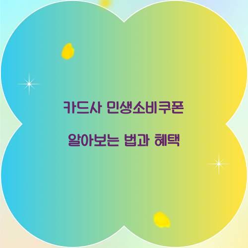 카드사 민생소비쿠폰