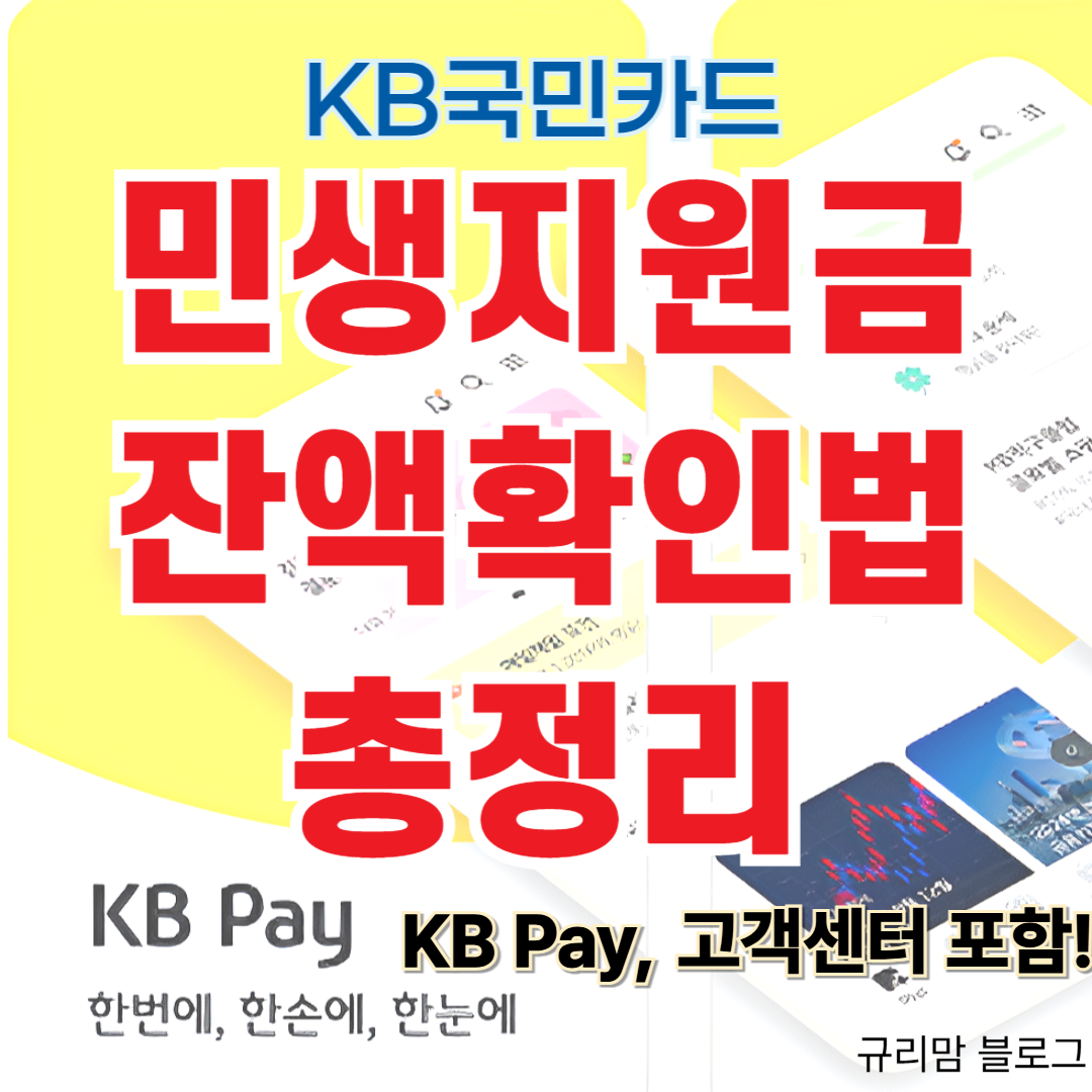 KB국민카드 민생지원금 잔액확인법