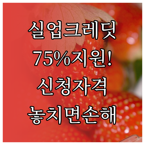 실업크레딧 신청 자격 및 국가 지원 ..