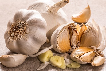 독감에 좋은 음식