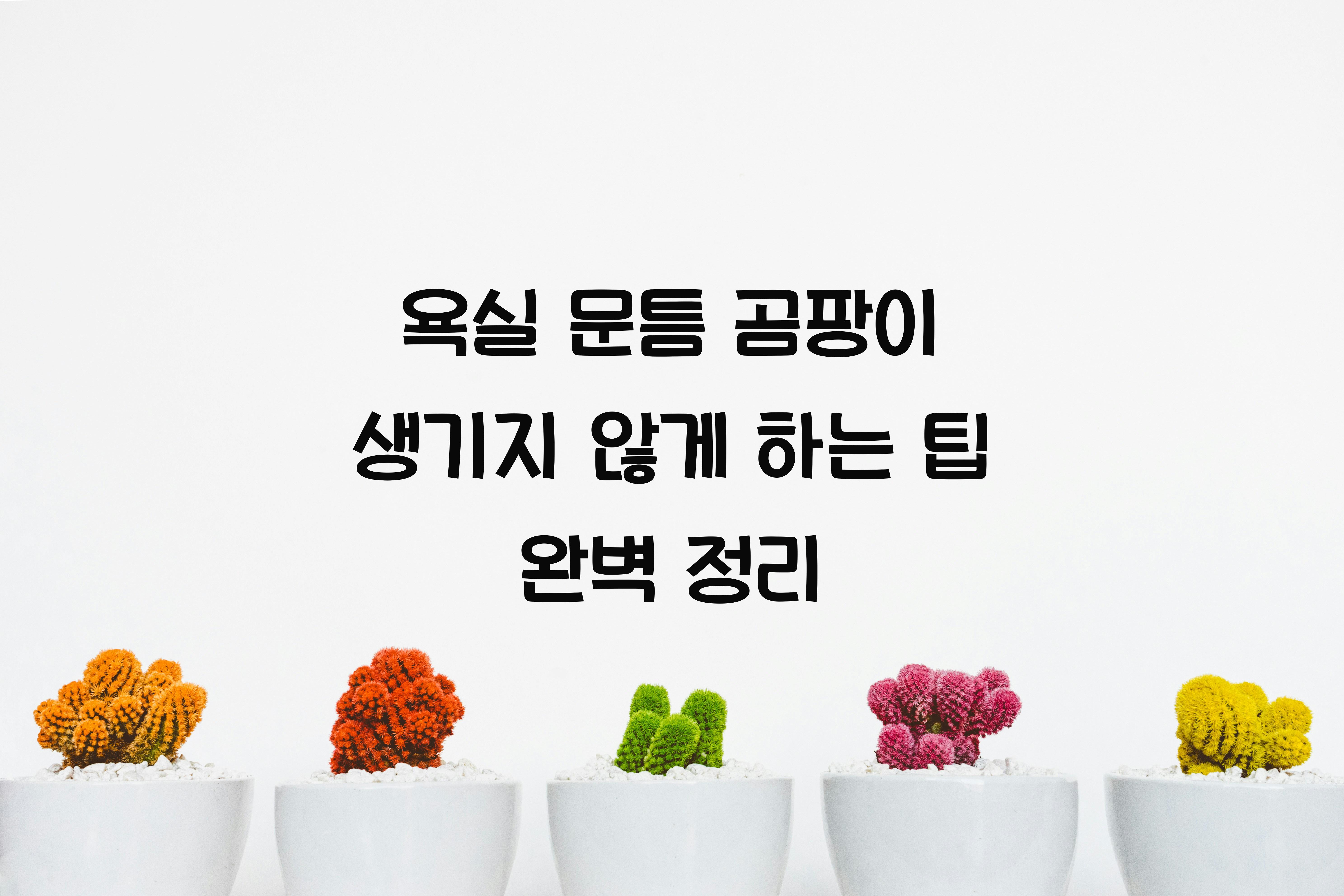 욕실 문틈 곰팡이 생기지 않게 하는 팁