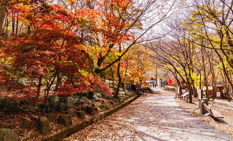 보령 성주산