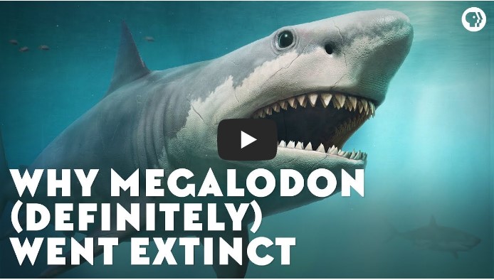 교육/지식 유튜버 TOP 10 3