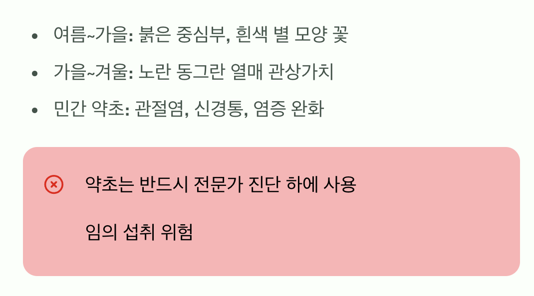 꽃과 열매, 그리고 약초로서의 쓰임새