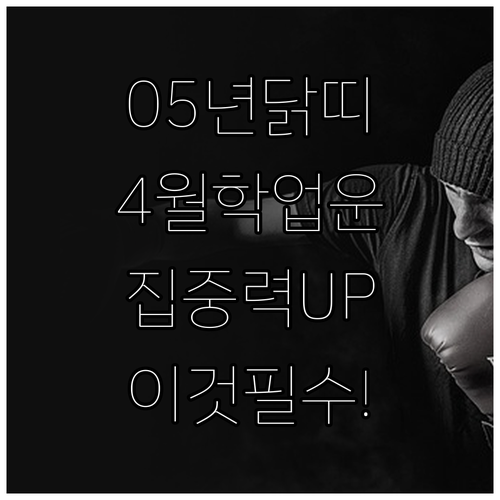 2005년생 닭띠 2026년 4월 학..