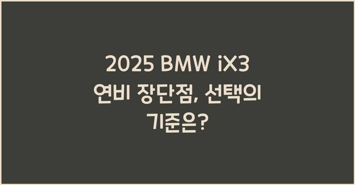 2025 BMW iX3 연비 장단점