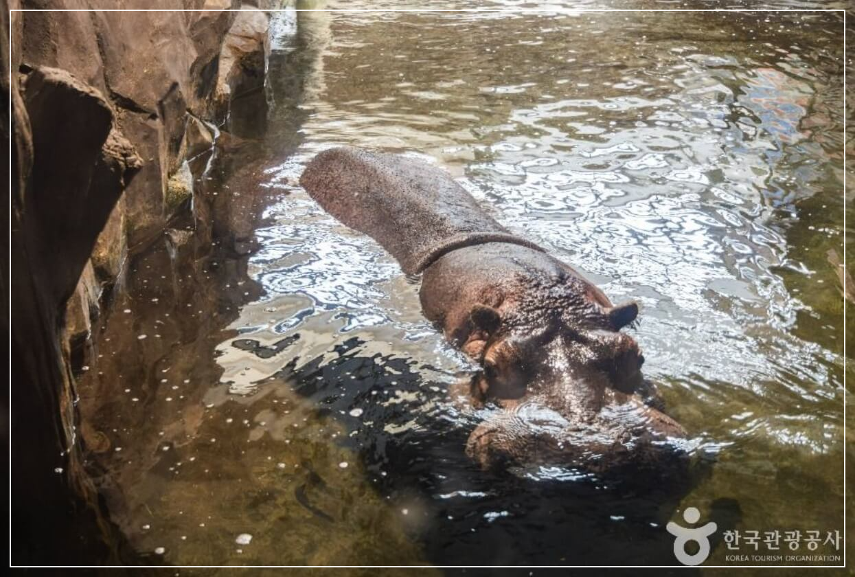 사천 가볼만한곳 베스트10 아라마루 아쿠아리움