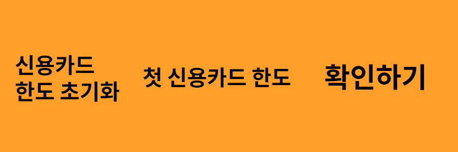 신용카드 한도 초기화, 첫 신용카드 한도 확인하기
