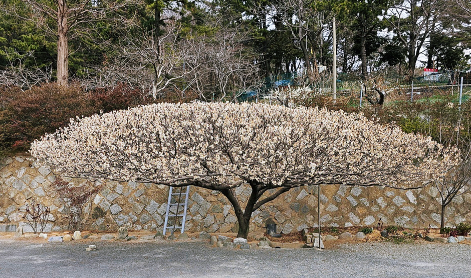 창원 청연암1