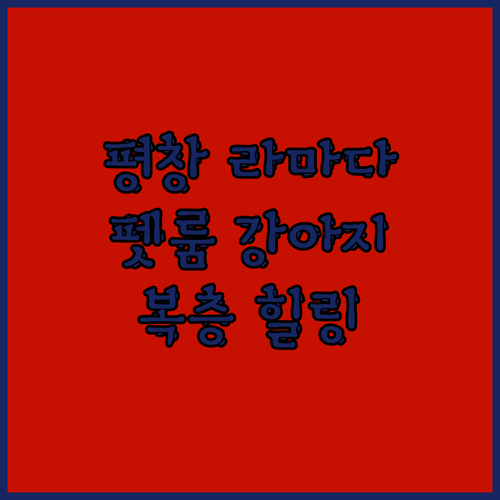 평창 라마다호텔앤스위트 펫룸 강아지와
