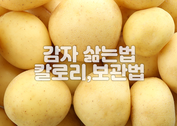 표면이 균일하고 품질 좋은 감자