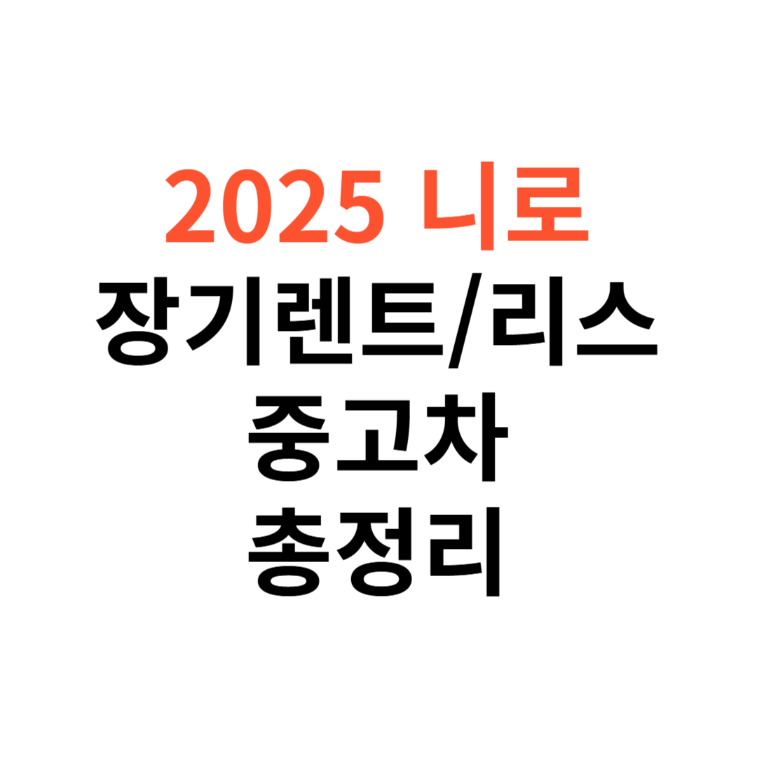 2025년 니로