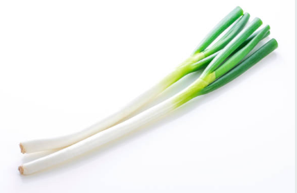 대파 효능 총정리