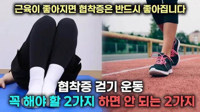 걷기운동 효과 좋은점 놀라운 효능 방법_7