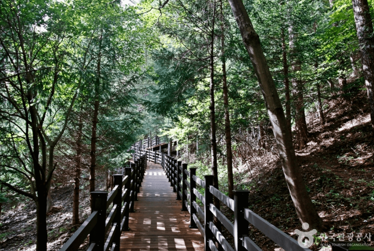국립 덕유산 자연휴양림