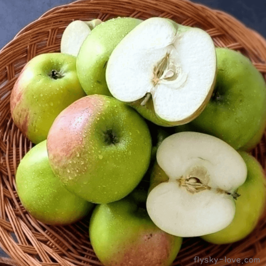 여름 제철 과일 썸머킹 사과
