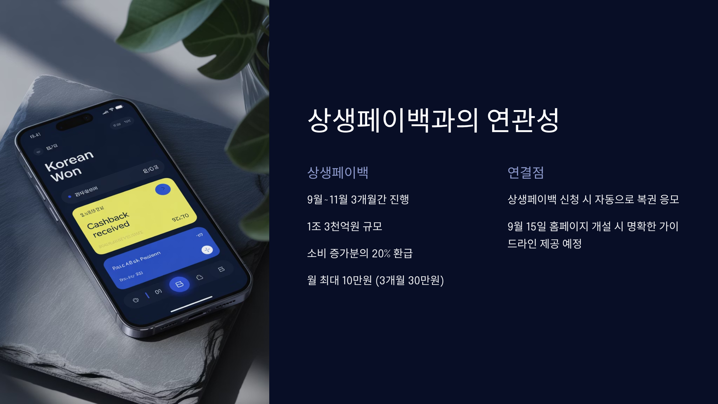 상생페이백과의 연관성